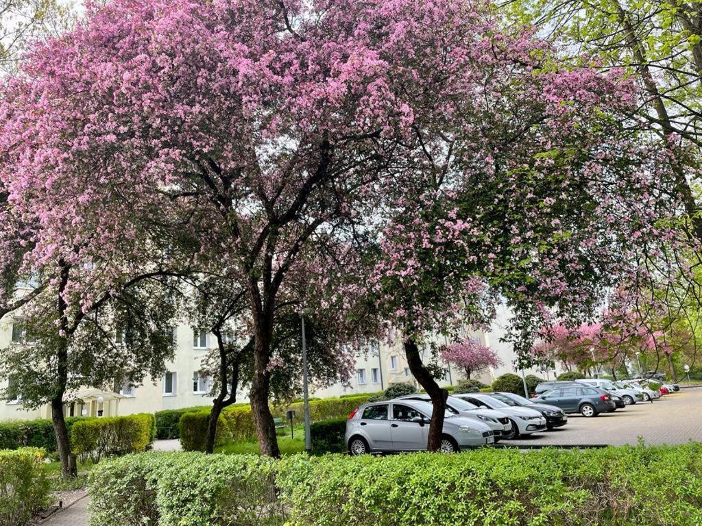 Apartament Rataja50 Olsztyn  Esterno foto